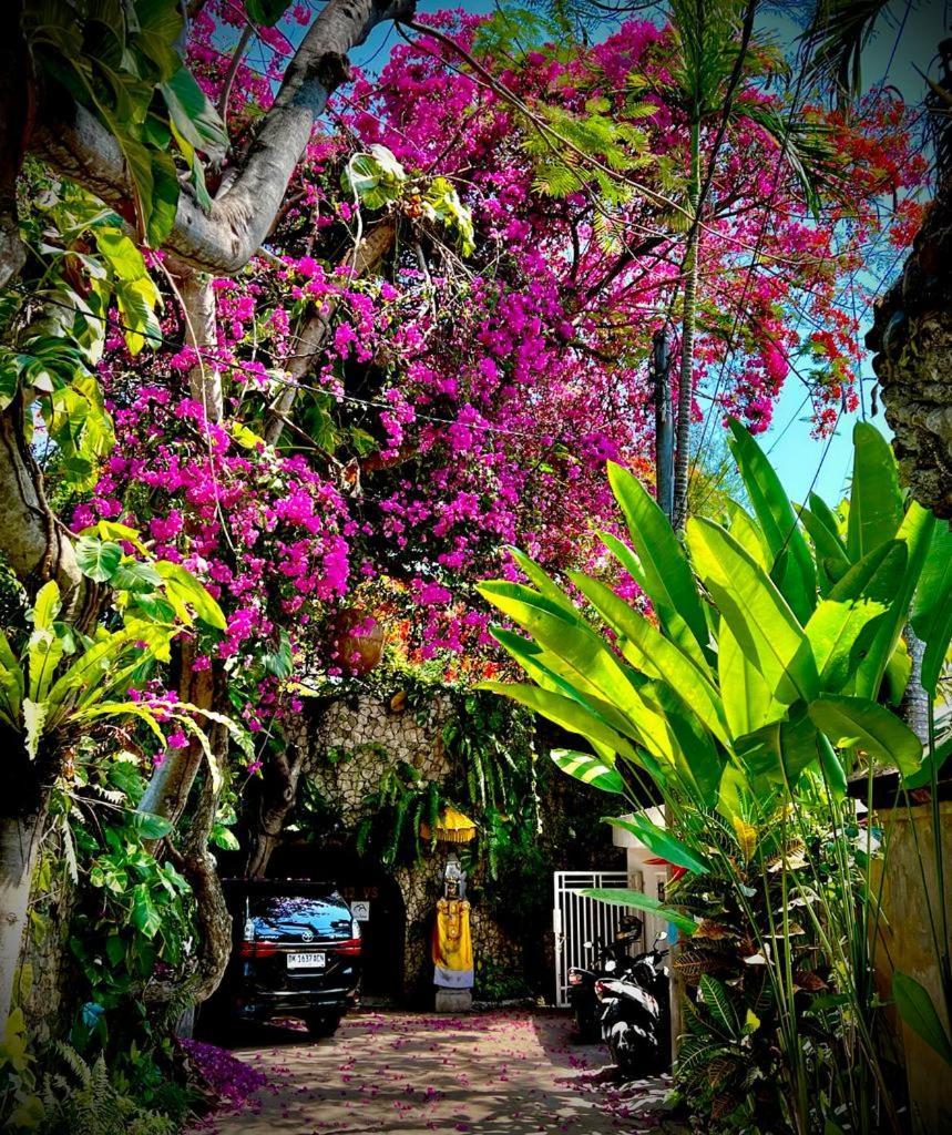 Exquisite Private Villa — Villa Sekala, Sanur, Se Bali Екстер'єр фото